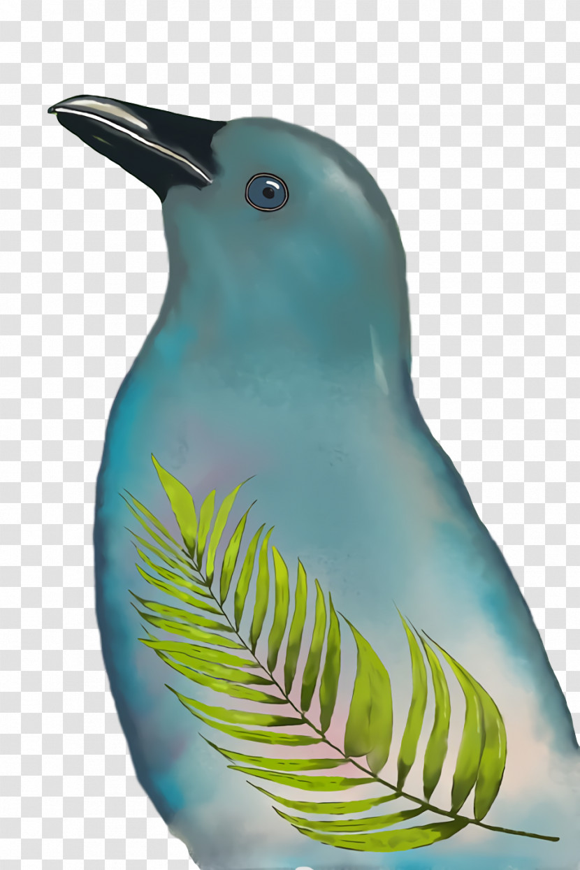 Beak Turquoise Transparent PNG