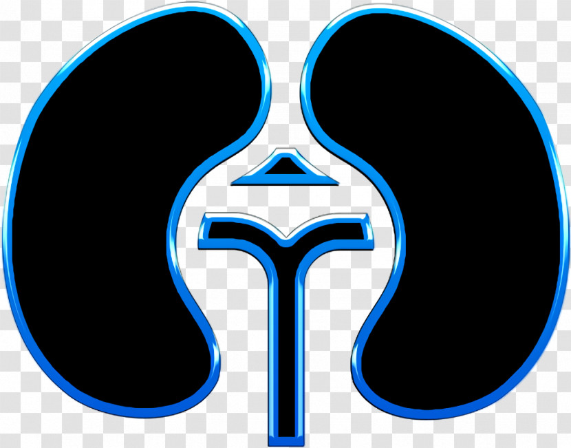 Health Care Icon Icon Kidneys Icon Kidney Icon Transparent PNG