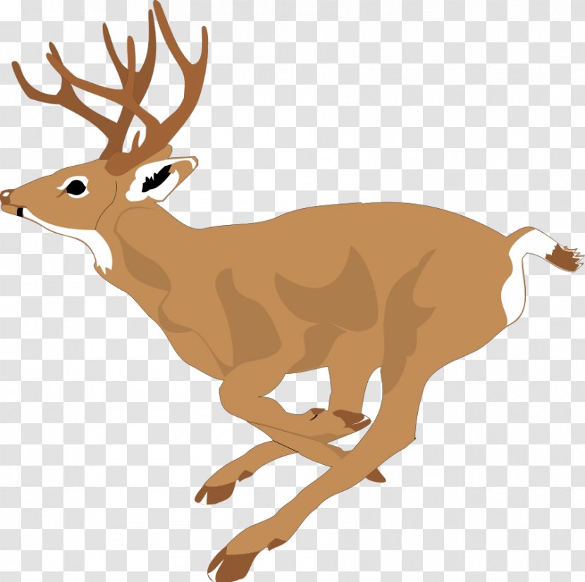 White-tailed Deer Clip Art - Reindeer Collar Cliparts Transparent PNG