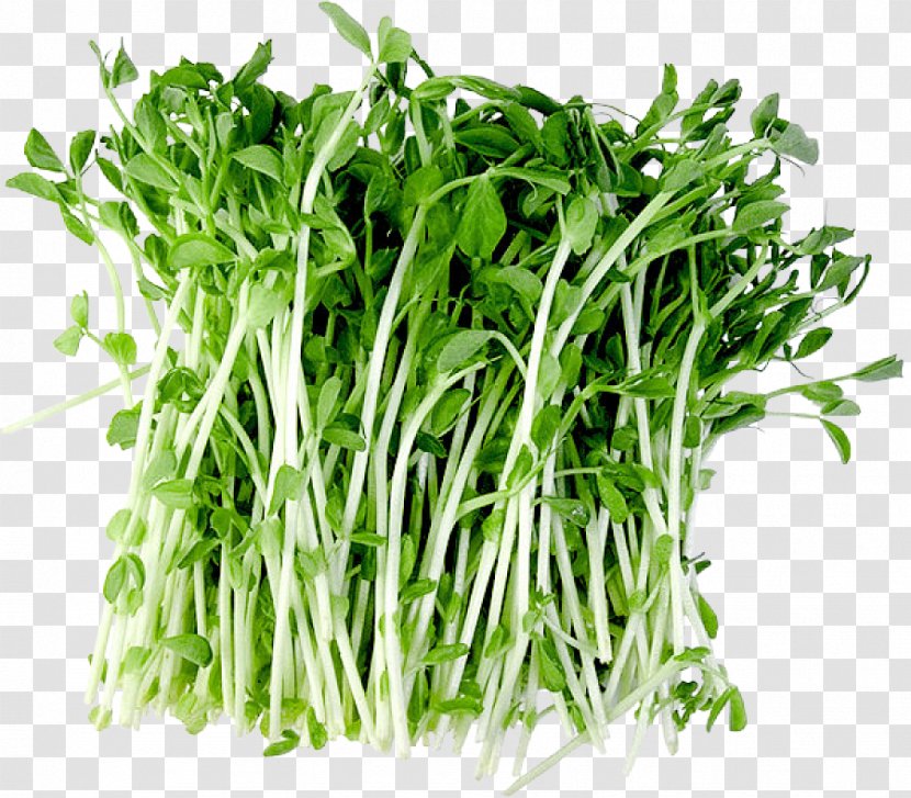 Water Spinach Vegetarian Cuisine Garden Cress Herb Watercress - Vegetable Transparent PNG