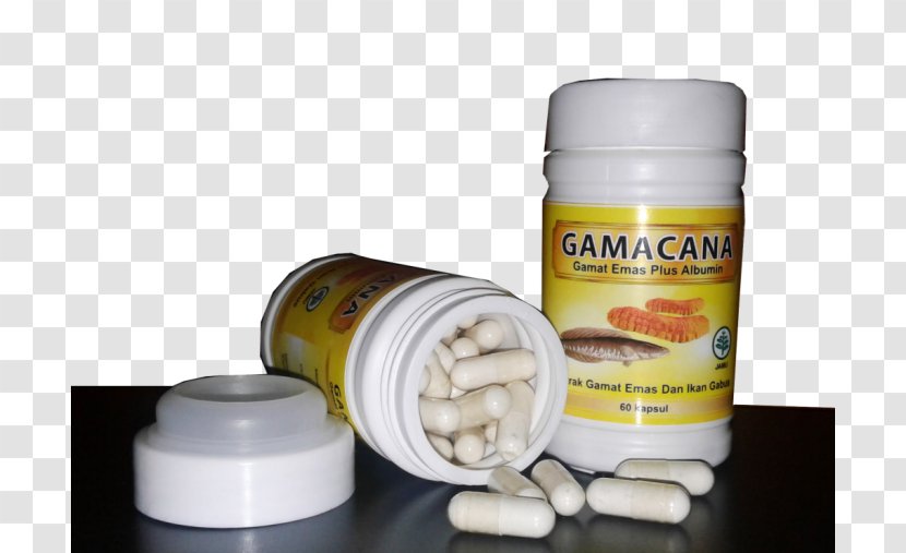 Herb Dietary Supplement Blood Capsule Health - Ikan Emas Transparent PNG