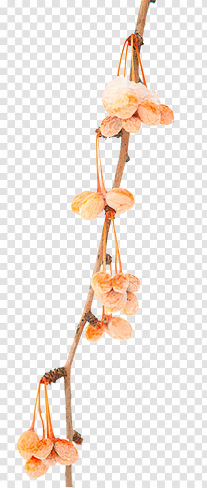 Download - Orange - A Snow-covered Withered Ginkgo Fruit Transparent PNG