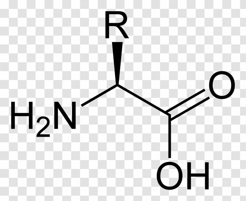 Serine Valine Alanine Amino Acid Tyrosine - Brand Transparent PNG