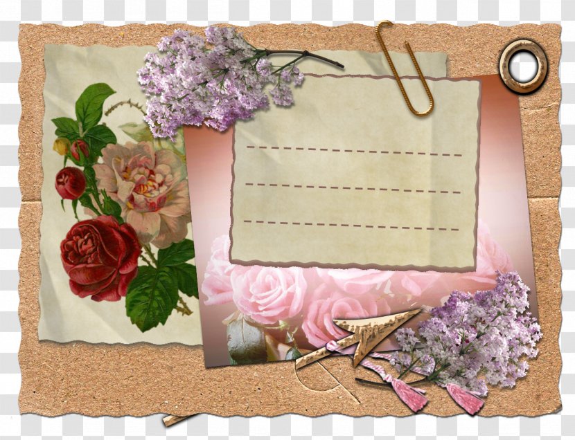 Floral Design Paper Text Picture Frames Rose - Porcelain Transparent PNG