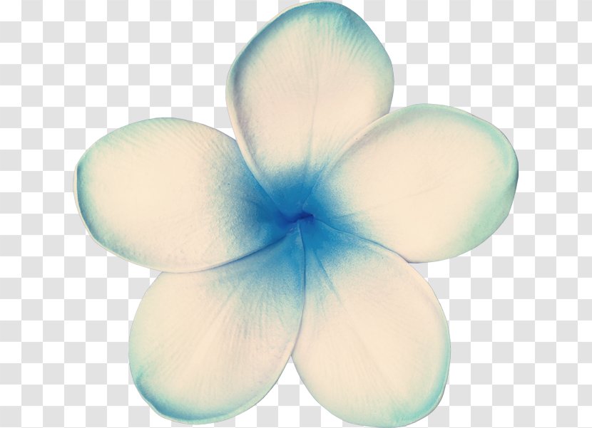 Petal Turquoise Transparent PNG