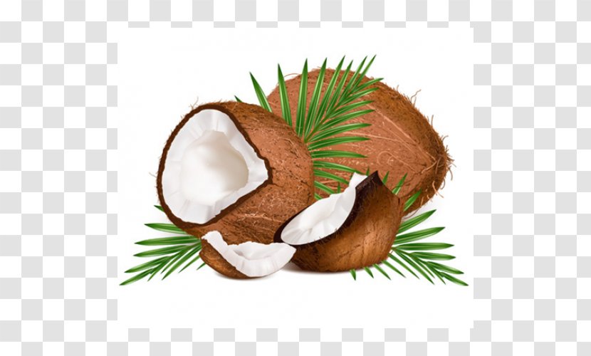 Coconut Water Clip Art Transparent PNG