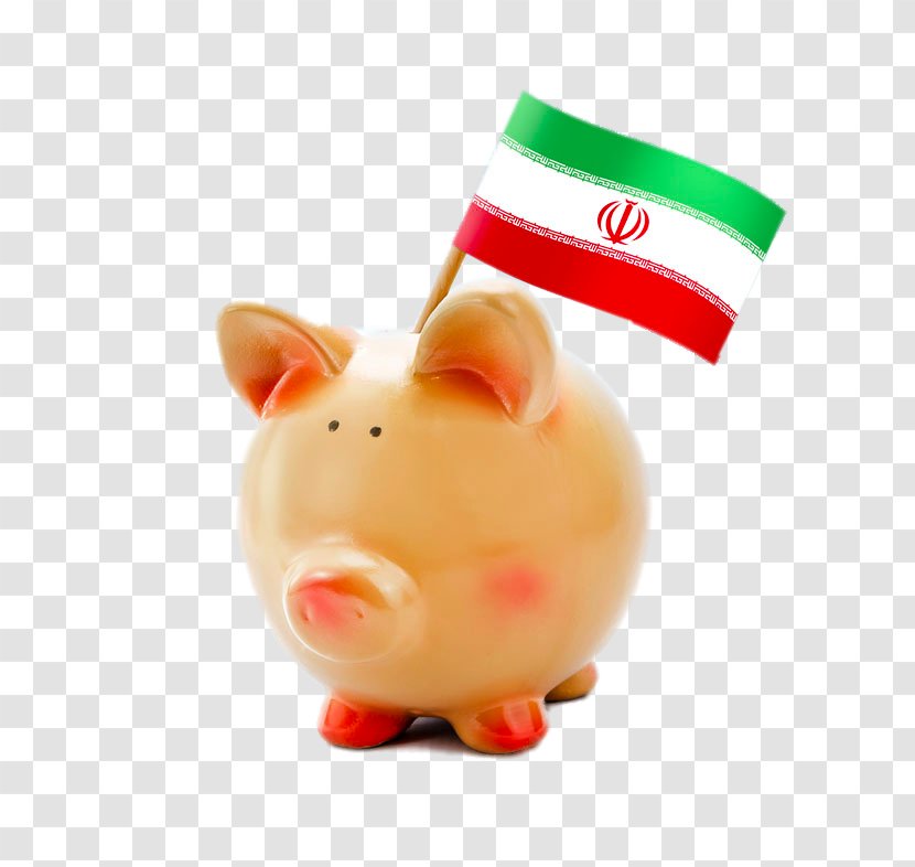 National Flag Of Kosovo Stock Photography Kenya Paraguay - Snout - White Pig Piggy Bank Transparent PNG