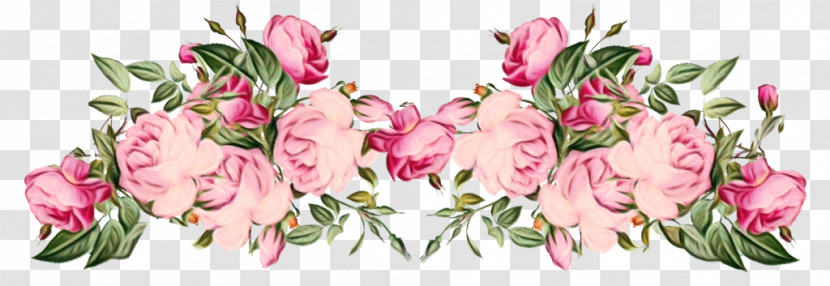 Garden Roses Transparent PNG