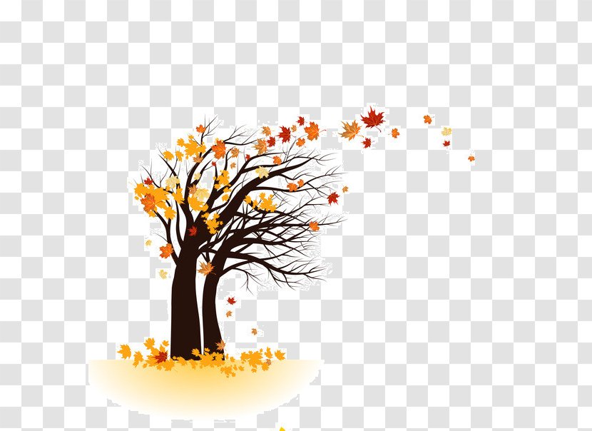 Tree Autumn Royalty-free Photography - Royaltyfree - Leaf Watercolor Transparent PNG