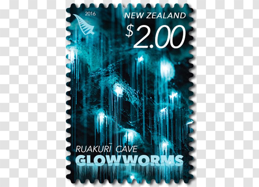 Waitomo Glowworm Caves Owhango Arachnocampa Luminosa - Cave Transparent PNG