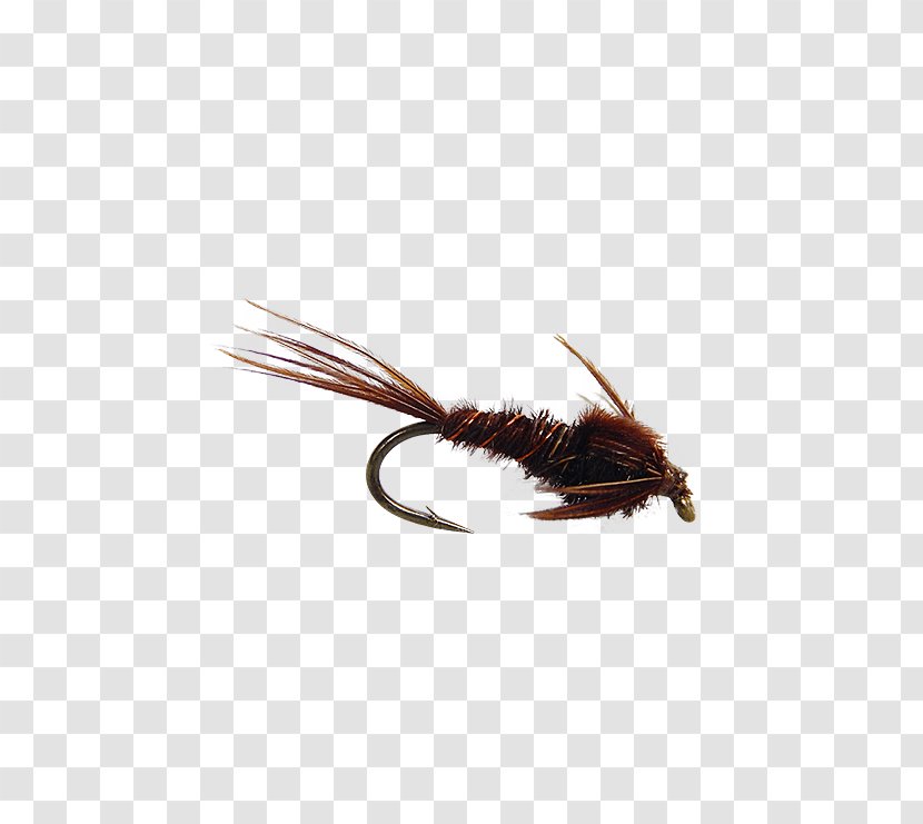 Insect Artificial Fly Transparent PNG
