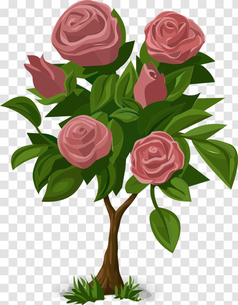 Flower Rose Plant Animation - Stem - Bushes Transparent PNG