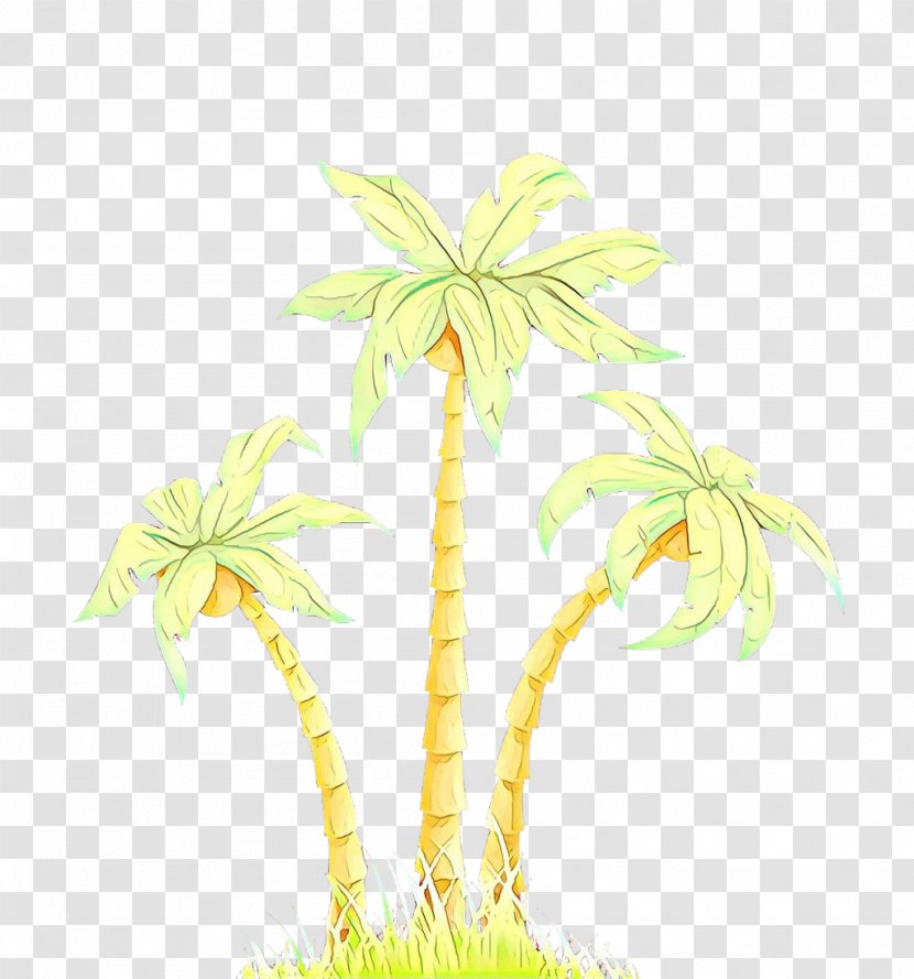 Palm Tree - Date - Flower Transparent PNG