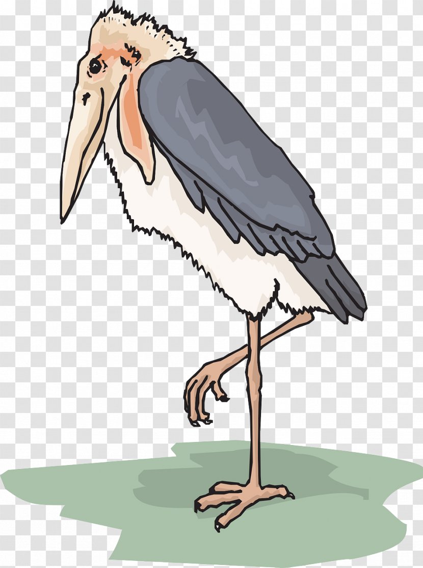 Marabou Stork Bird Clip Art - Seabird Transparent PNG