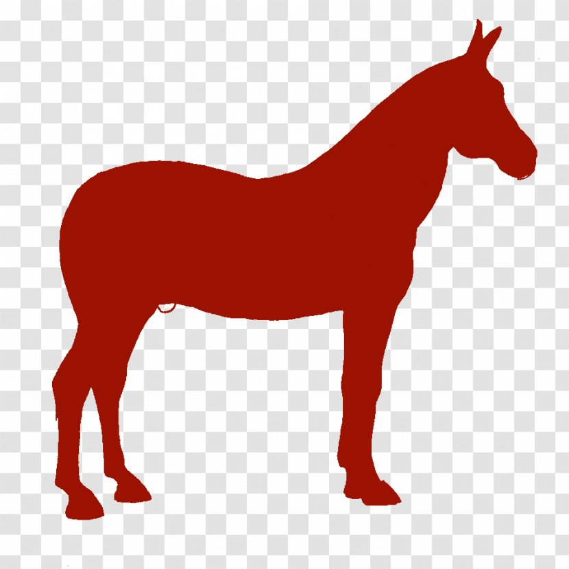 Mule American Quarter Horse Pony Mustang Foal - Silhouette Transparent PNG