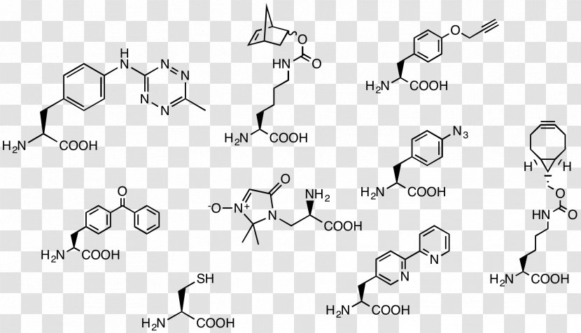 Aldehyde Oyakodon Acetal Benzyl Group Reductive Amination - Organism Transparent PNG