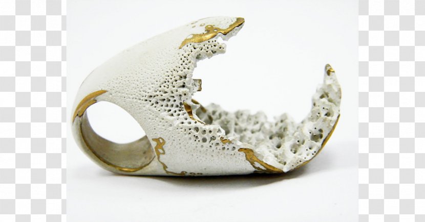 Body Jewellery - Tableware - Ring Material Transparent PNG