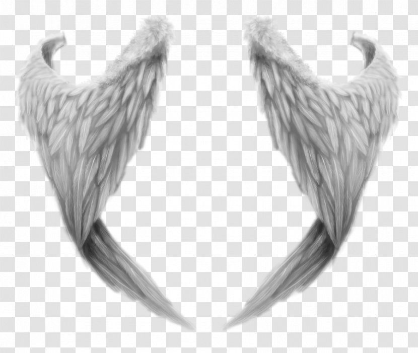Clip Art - Supernatural Creature - Angel Wings Transparent PNG