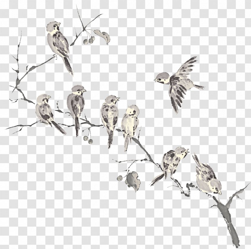 Bird Sticker Wood - Sparrow Transparent PNG