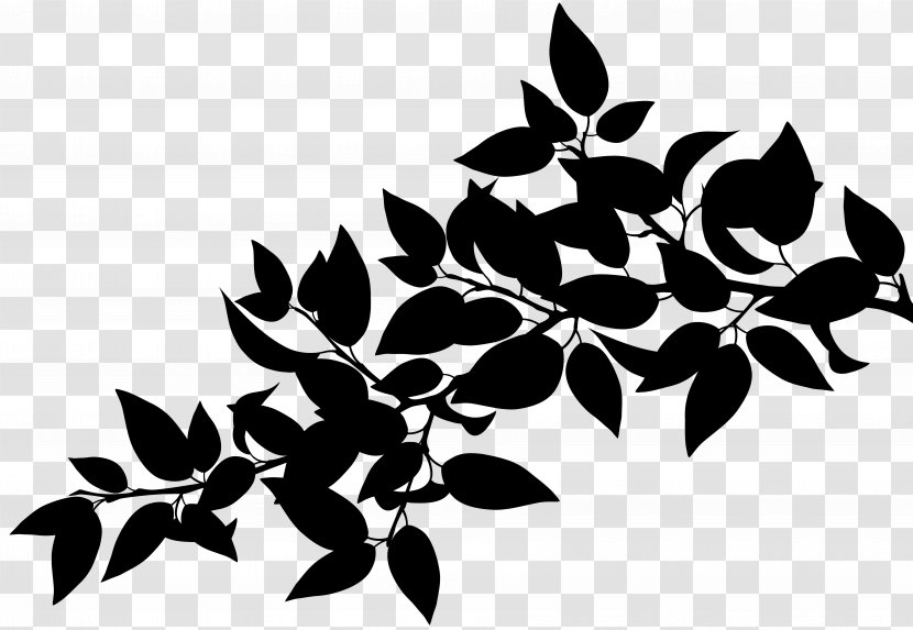 Plant Stem Flower Leaf Pattern Font - Tree - Botany Transparent PNG