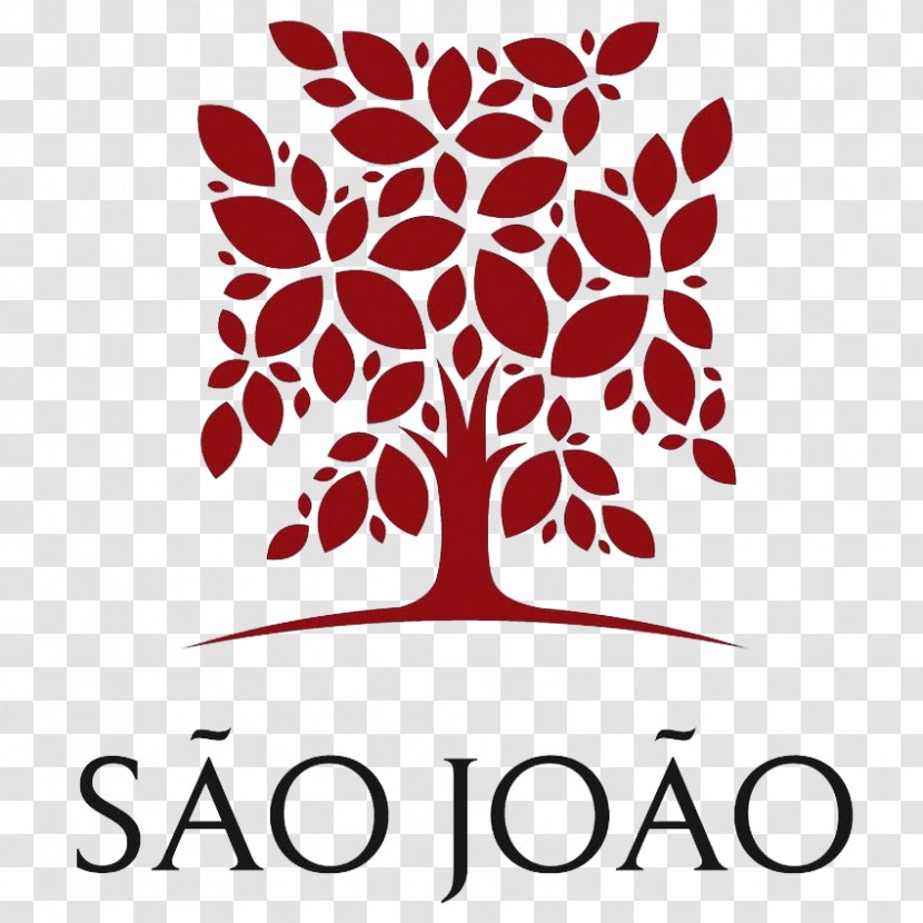 Saint John Hospital Physician De São João Medicine - Of God - Sao Joao Transparent PNG
