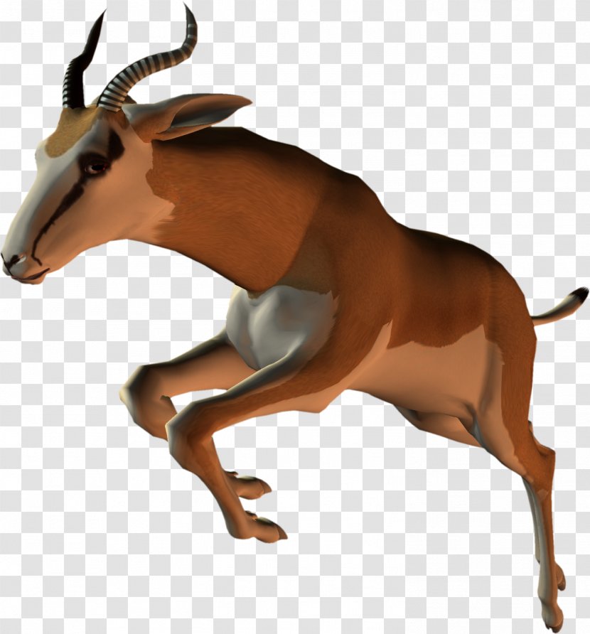 Mustang Antelope Cattle Freikörperkultur Wildlife - Animal Figure Transparent PNG