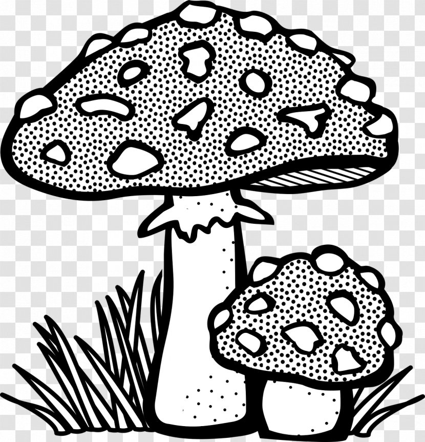 Mushroom Drawing Line Art Fungus Clip - Monochrome Transparent PNG