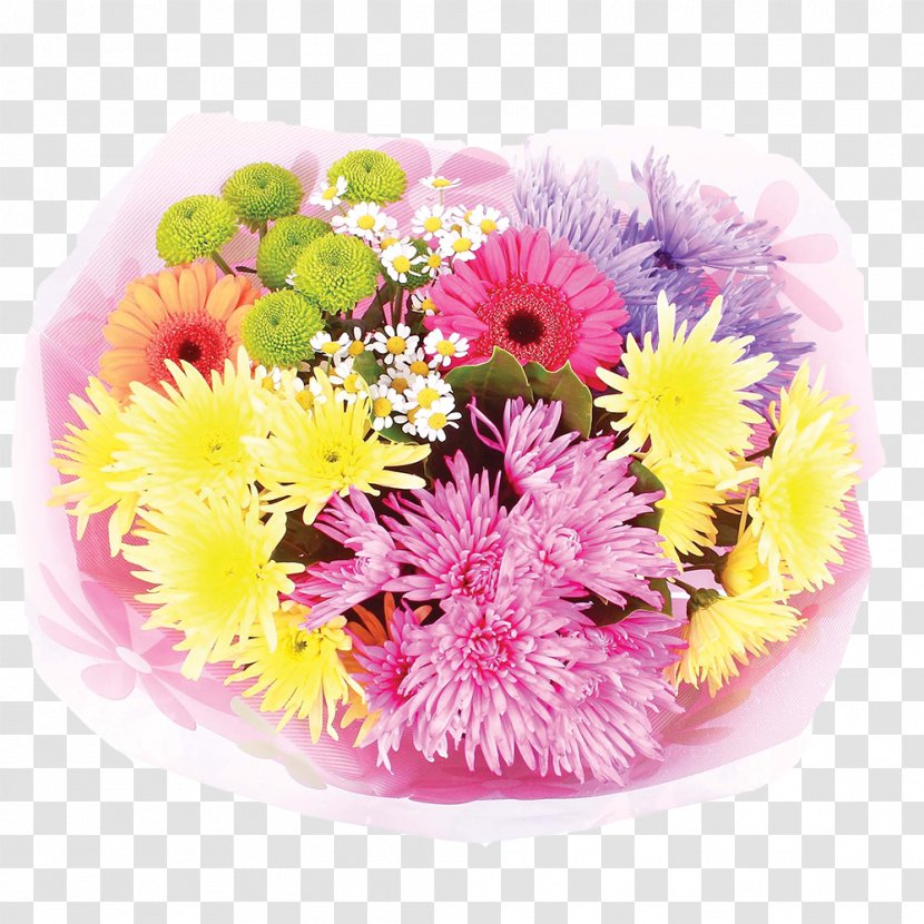 Cut Flowers Floral Design Floristry Transvaal Daisy - Annual Plant - Mother's Day Transparent PNG