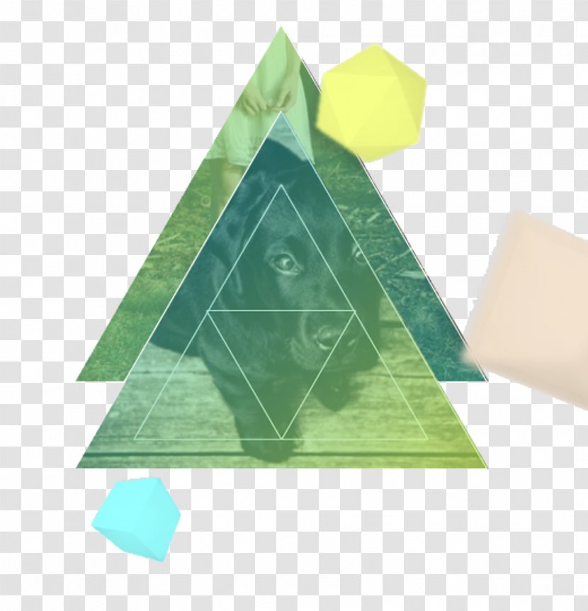 Triangle Designer - Software - Floating Element Transparent PNG