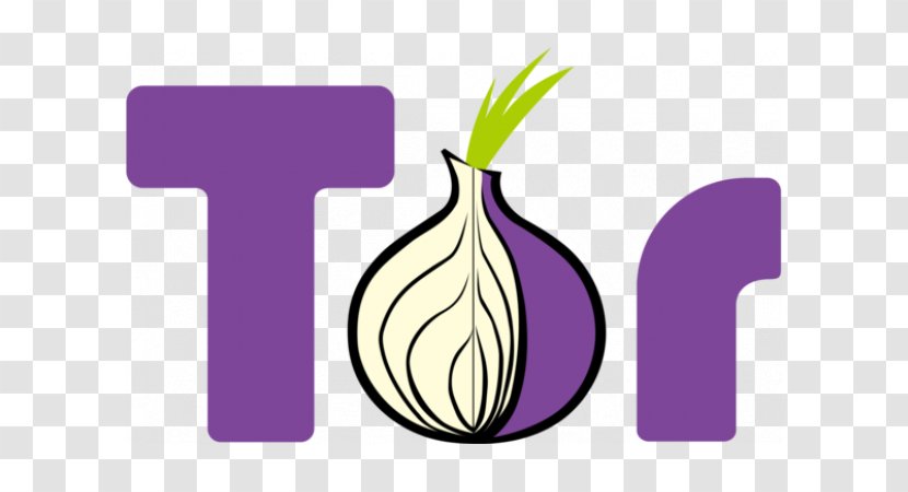 Tor Browser Web Anonymous Browsing Anonymity - Onion Transparent PNG