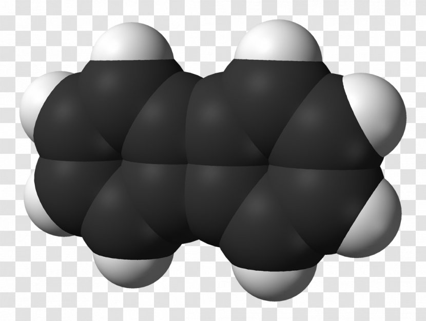 Biphenylene Antiaromaticity Acetanilide Hydrocarbon Chemistry - Tree - Silhouette Transparent PNG