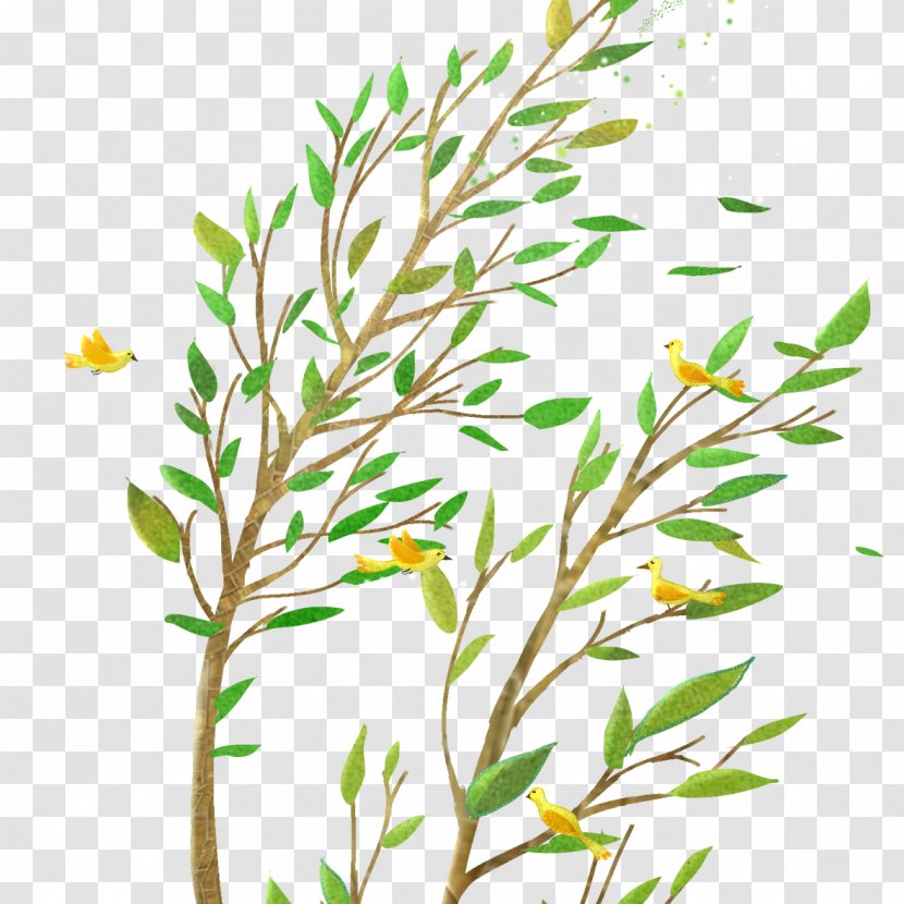 Cartoon Download Comics - Branch - Willow Tree In The Wind Transparent PNG