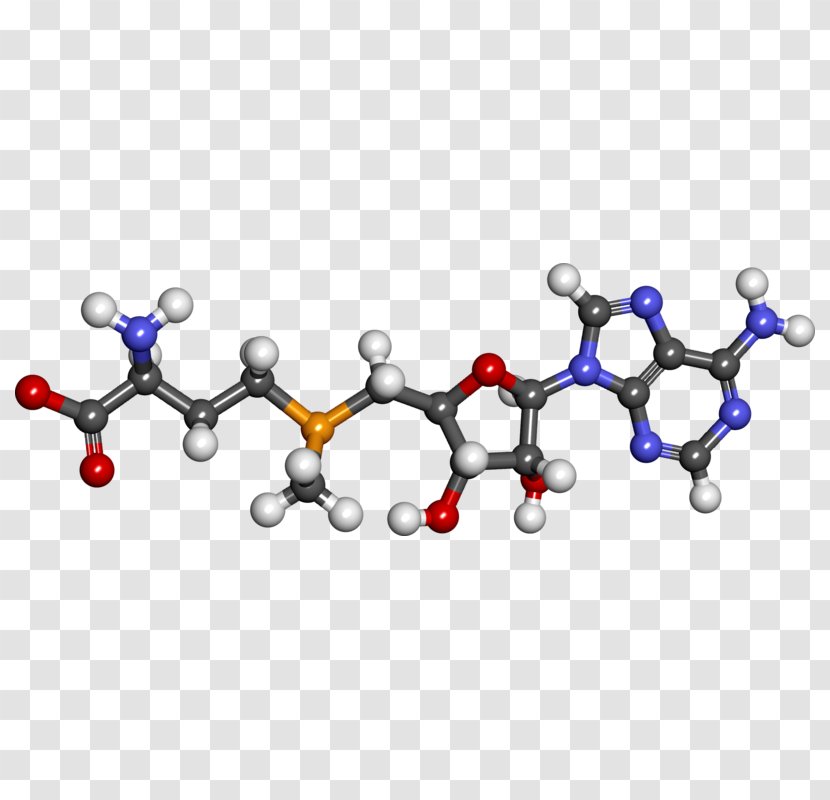Dietary Supplement S-Adenosyl Methionine Health Cysteine - Nutrition Transparent PNG