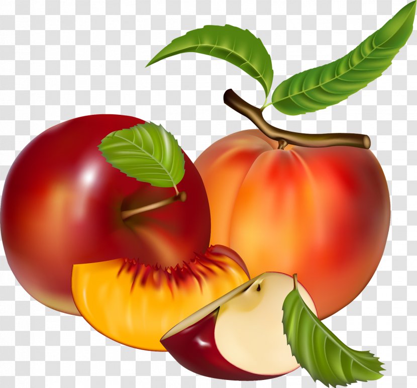 Natural Foods Fruit Plant Food Apple - Leaf - Mcintosh Transparent PNG