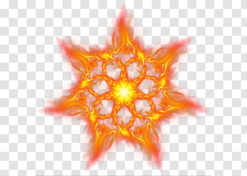 Fire Euclidean Vector Icon - Star - Burning Flowers Transparent PNG