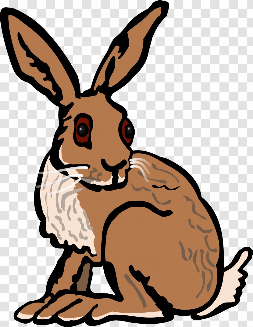 European Hare Arctic Rabbit Clip Art - Fauna Transparent PNG