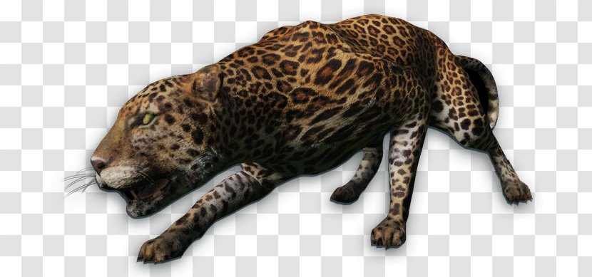 Leopard Far Cry 3 4 Instincts Primal - Terrestrial Animal Transparent PNG