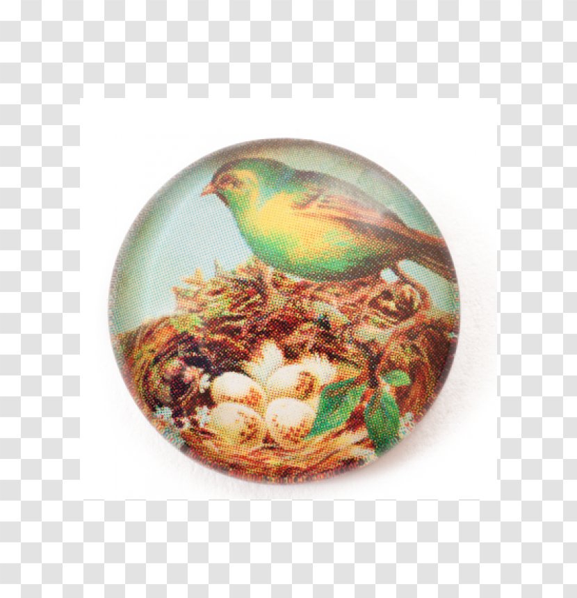 Cabochon Glass Gemstone Bird Bead - Oval Transparent PNG