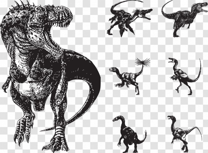 Reptile Tyrannosaurus Brachiosaurus Dinosaur - Extinction - Vector Dinosaurs Transparent PNG