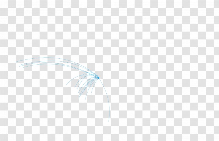 Line Feather Angle Transparent PNG