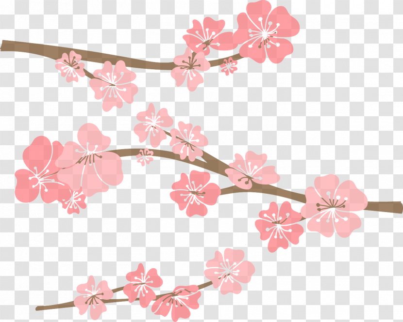 Cherry Blossom - Twig Pedicel Transparent PNG