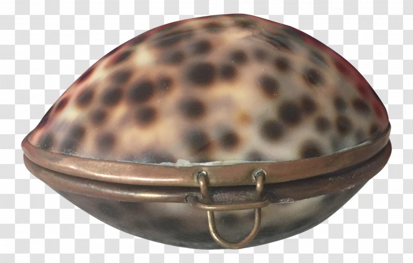 Cypraea Tigris Cowry Seashell Mollusc Shell Metal - Box - Cowrie Frame Transparent PNG