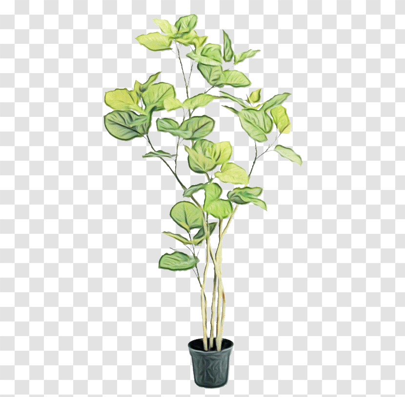 Flower Plant Flowerpot Houseplant Plant Stem Transparent PNG