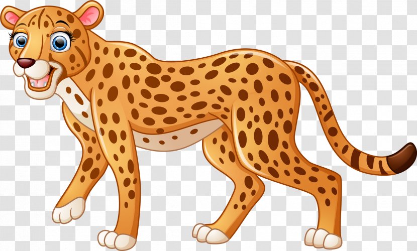 Leopard Jaguar Felidae Black Panther - Big Cats - Vector Hand Painted Transparent PNG