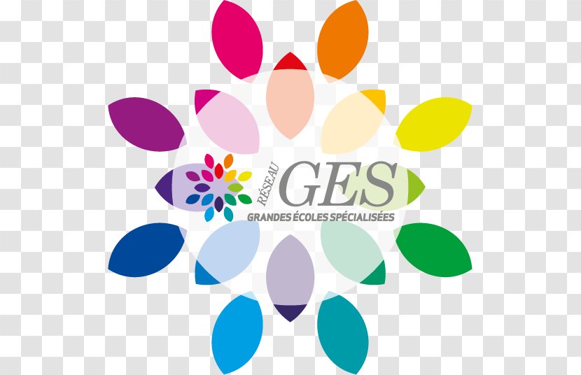 Higher Education School Grande école Network Ges Student - Gesù Transparent PNG