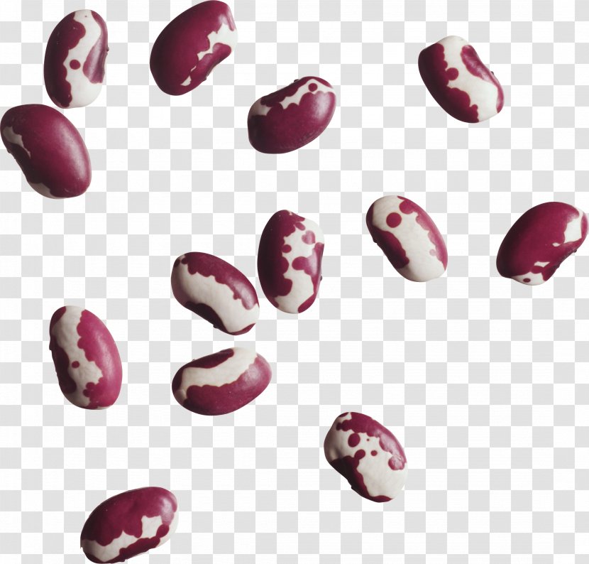 Common Bean Legume Lentil Clip Art - Food - Black Beans Transparent PNG