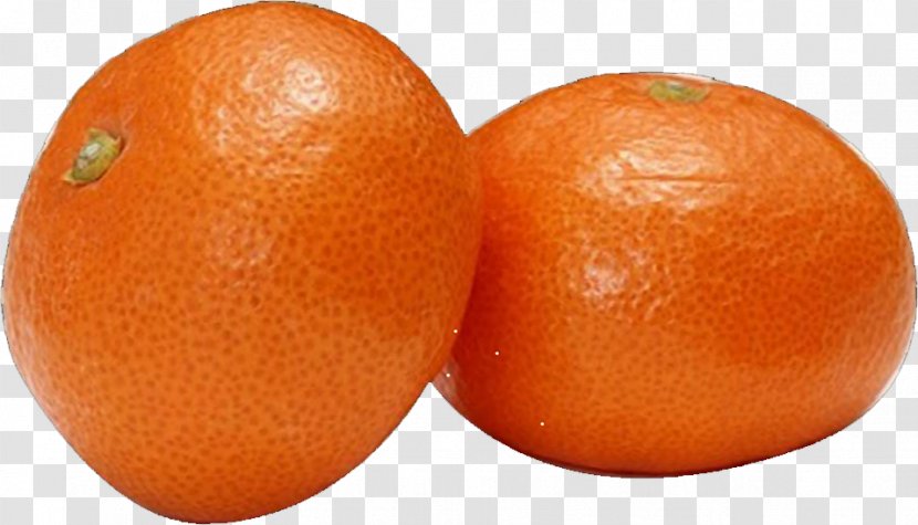 Clementine Blood Orange Mandarin Tangerine Grapefruit - Vegetarian Food Transparent PNG