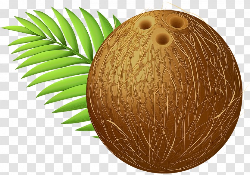 Easter Egg Background - Carving - Wood Transparent PNG