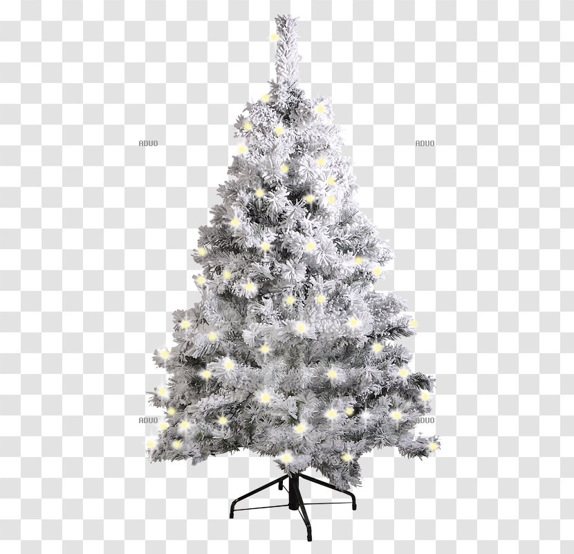 Christmas Tree Spruce Fir Ornament Pine Transparent PNG