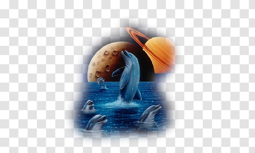 Animation Dolphin Printmaking - Aquatic Animals Transparent PNG
